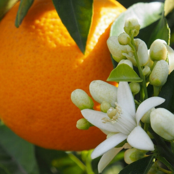 Durance perfumed soap orange blossom 125g - British product