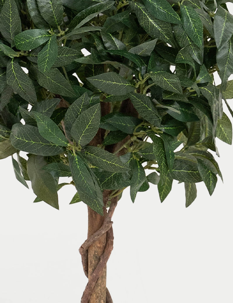 Blooma Artificial Bay Trees Set of 2 3ft (British brand)