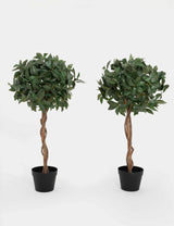 M&S Blooma Set of 2 Artificial Bay Trees Outdoor Plants 3ft- Buy online at McGrocer