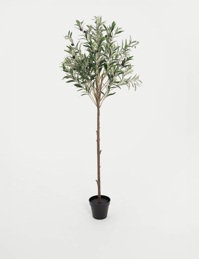 M&S Blooming Artificial 4.5ft Artificial Mediterranean Olive Tree- Buy online at McGrocer