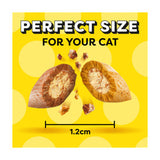 DREAMIES cat treat biscuits chicken and duck flavour 60g, UK version