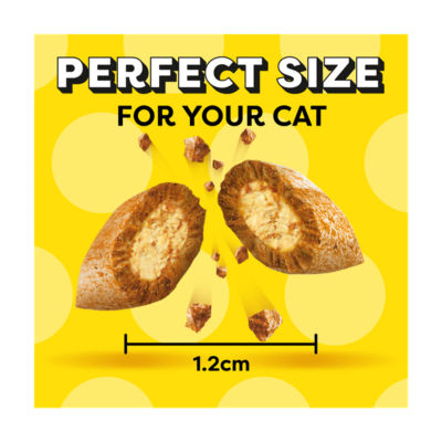 Dreamies cat treat biscuits with salmon flavour 200g - British product