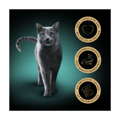 Sheba wet cat food tray Salmon in Terrine 85g (British brand)