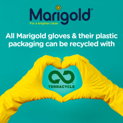 Marigold 40 Multi-Purpose Disposable Gloves, imported from the UK
