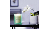 Argos Chesapeake Bay Waterlily Pear Medium Candle- Buy online at McGrocer