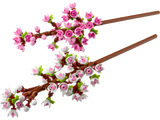 Lego Lego Cherry Blossoms Building Set 430 Pieces- Buy online at McGrocer