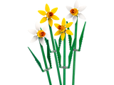 Lego LEGO Daffodils Botanical Floral Set Buildable Flower Display 216 Pieces- Buy online at McGrocer