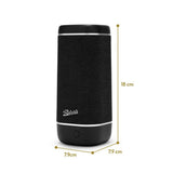 Roberts Reunion portable Bluetooth speaker black - British product