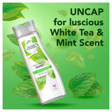 Herbal Essences Daily Detox Shine Shampoo For All Hair Type