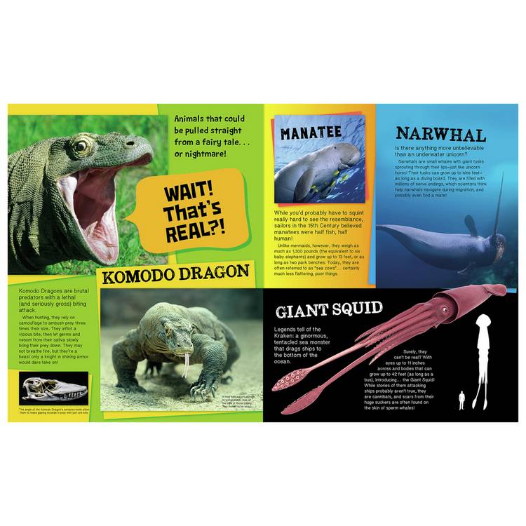 Igloo Books Totally True kids fact book set (British brand)