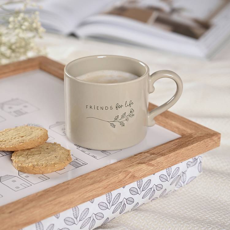 CELEBRATIONS Moments friendship mug fawn glazed 275ml, UK version