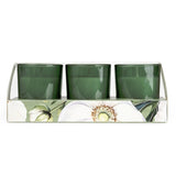 Candlelight Set of 3 Mini Candles - White Poppy & Sage