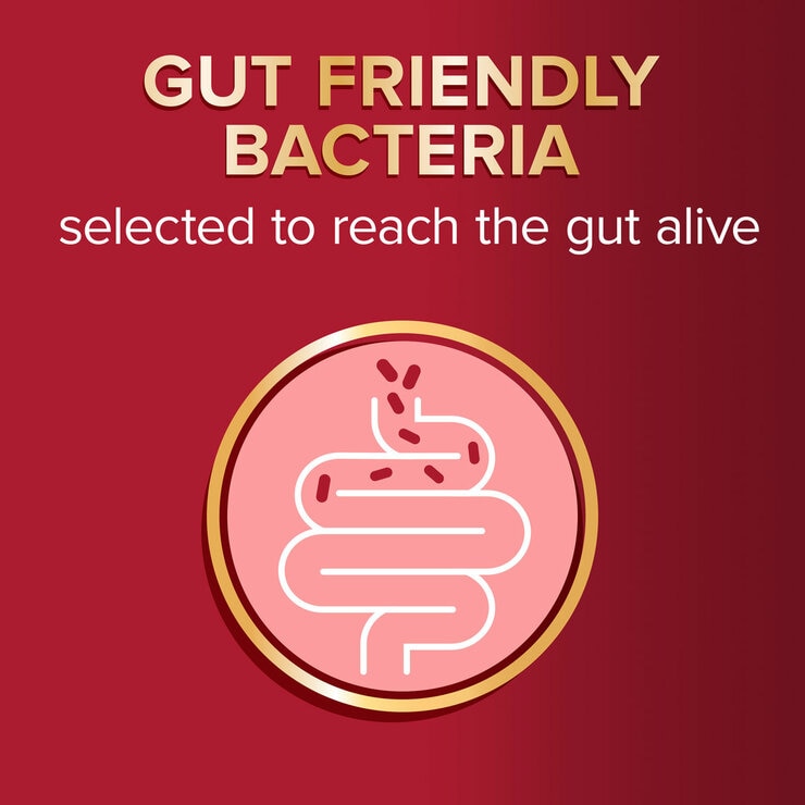 Seven Seas Omega 3 and gut friendly bacteria supplements 3 x 30 count, imported from the UK
