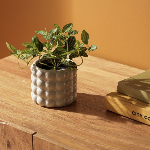 Habitat artificial trailing plant 17cm, UK version