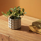 Habitat artificial trailing plant 17cm, UK version