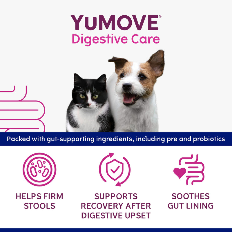 YuMOVE Digestive Care paste for dogs and cats 30ml (British brand)