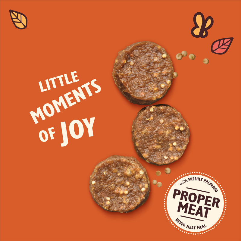 Lily's Kitchen dog treats Chomp-Away Chicken Bites 70g (British brand)