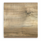 Golden Select Toasted Almond laminate flooring 1.146m² pack, UK version