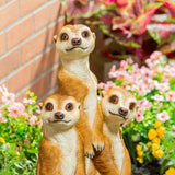 Evergreen hand-painted resin meerkat statue, imported from the UK