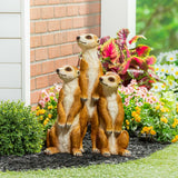 Costco UK Evergreen Meerkat Statue Resin Garden Ornament- Buy online at McGrocer
