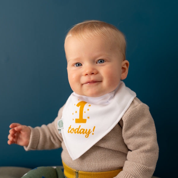 Ziggle 1 Today Baby Bandana Bib (British brand)