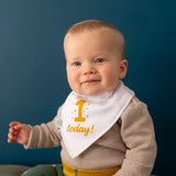 Ziggle 1 Today Baby Bandana Bib (British brand)