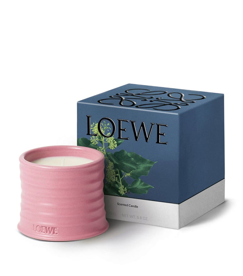 LOEWE small Ivy scented candle in terracotta vessel 170g, UK version
