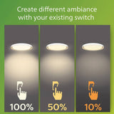 Philips Pebblo Scene LED ceiling light 32cm, imported from the UK