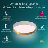 Philips Hanno Scene Switch ceiling light - British product