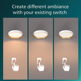 Philips Hanno Scene Switch ceiling light - British product
