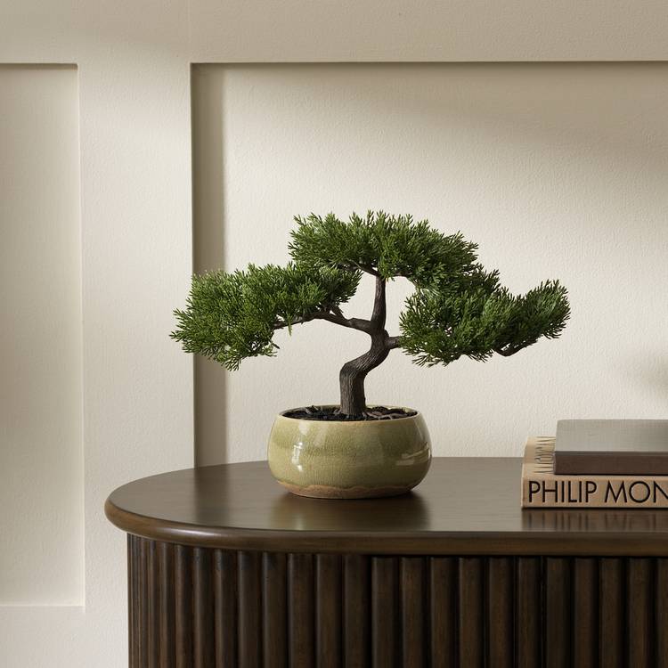 Argos Home artificial bonsai tree in ceramic glaze pot 22.5cm, imported from the UK