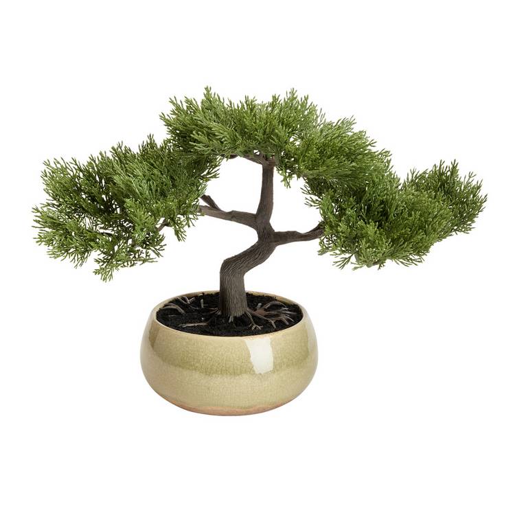 Argos Home artificial bonsai tree in ceramic glaze pot 22.5cm, imported from the UK