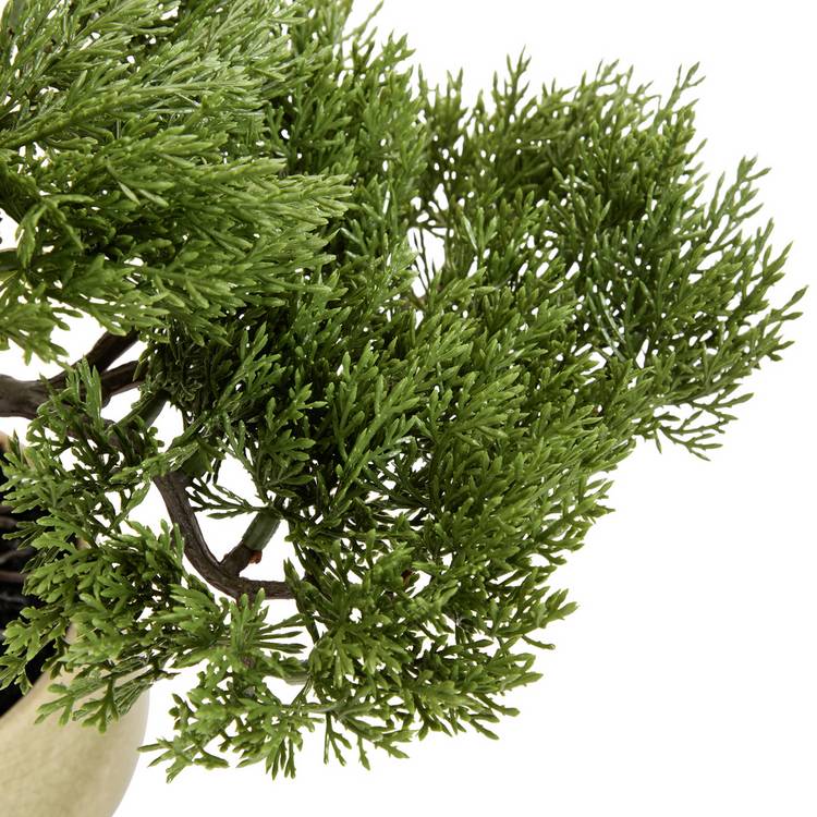 Argos Home artificial bonsai tree in ceramic glaze pot 22.5cm, imported from the UK