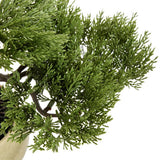 Argos Home artificial bonsai tree in ceramic glaze pot 22.5cm, imported from the UK