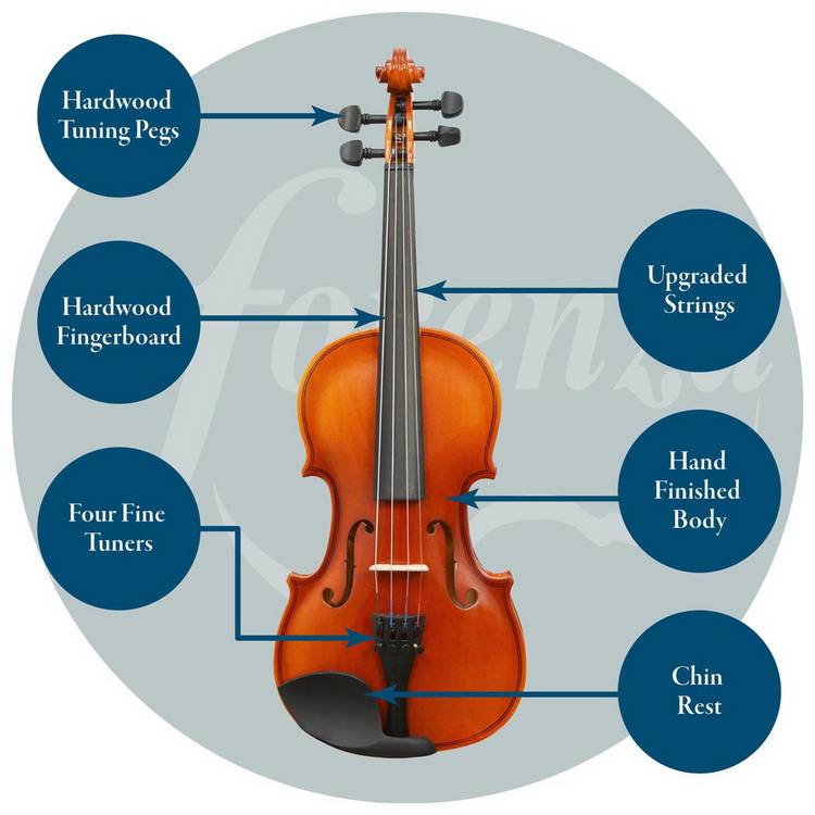Forenza Uno 1/2 violin outfit (British brand)
