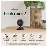 Blink Mini 2 security camera with weather resistant adapter (British brand)