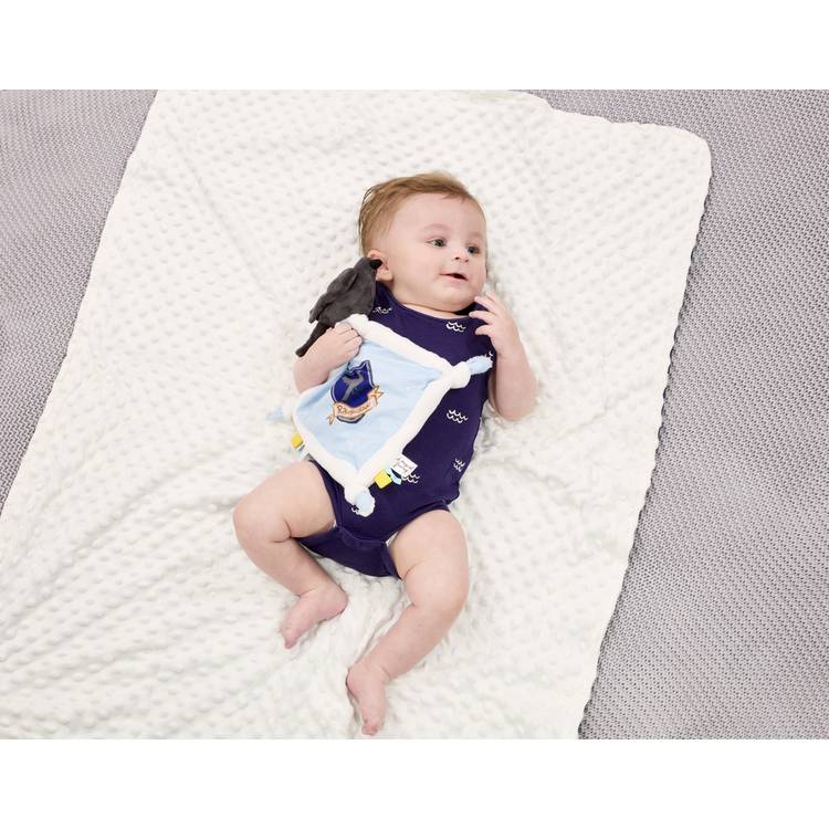 Harry Potter Ravenclaw comforter soft plush baby blanket (British brand)