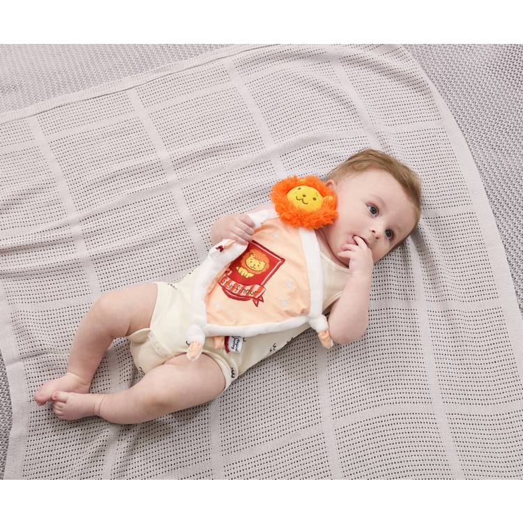 Harry Potter Gryffindor comforter 35cm, imported from the UK