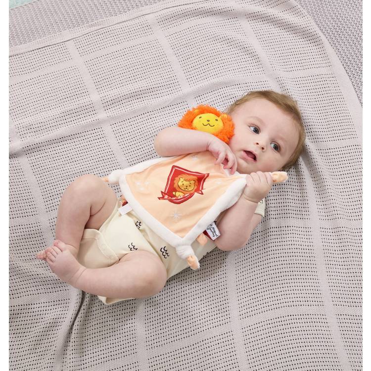Harry Potter Gryffindor comforter 35cm, imported from the UK