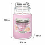 Yankee Candle large scented candle Sugared Blossom (British brand)