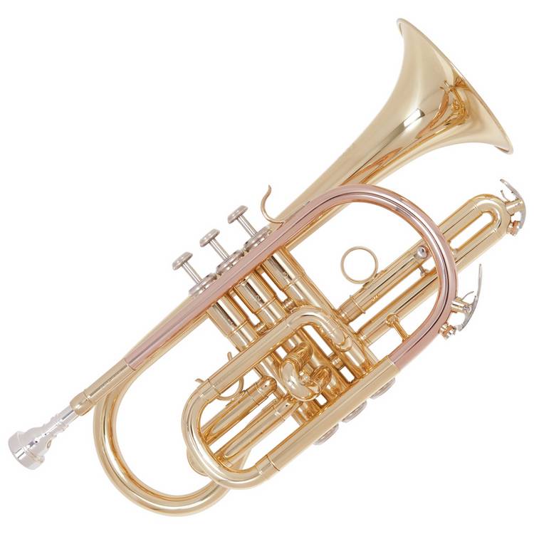 Odyssey Debut Bb cornet with case, imported from the UK