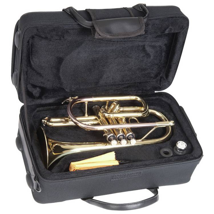 Odyssey Debut Bb cornet with case, imported from the UK