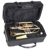 Odyssey Debut Bb cornet with case, imported from the UK