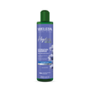 Weleda Hydra Hair Care Shampoo 250ml, imported from the UK