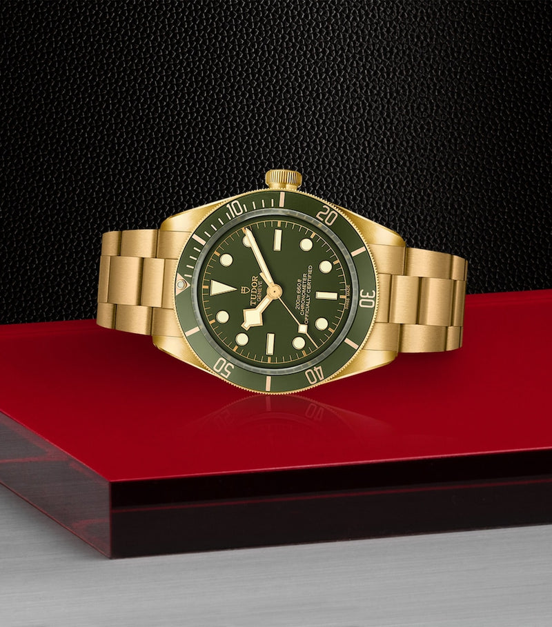 TUDOR Black Bay Yellow Gold 39mm watch, UK version