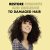 SheaMoisture Jamaican Black Castor Oil Conditioner 384ml (British brand)