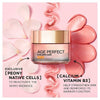 L'Oréal Age Perfect Day Cream SPF20 50ml, imported from the UK