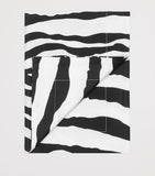 Dolce & Gabbana Casa zebra print pillowcases 60cm x 90cm - British product