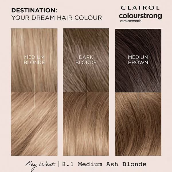 Clairol Permanent Hair Dye 8.1 Medium Ash Blonde - British product