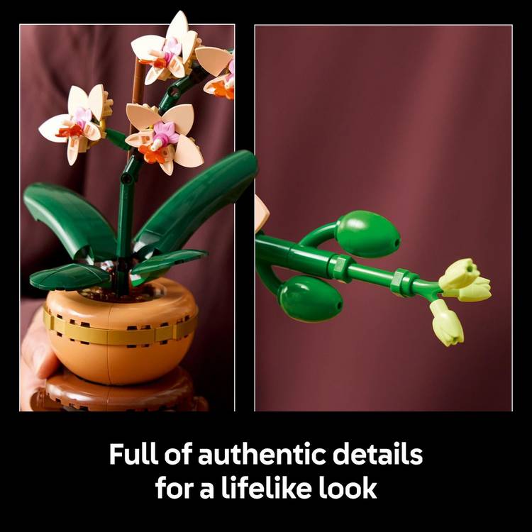 LEGO Botanicals mini orchid building set 274 pieces - British product